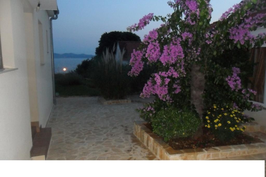 Apartments Nada Zadar Oda fotoğraf
